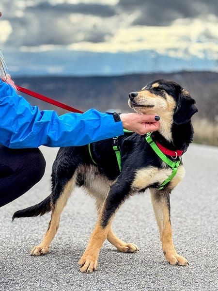 Franzl-möchte mit dir Abenteuer erleben