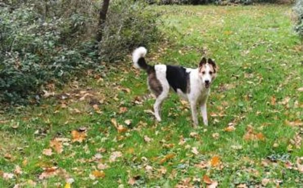 Wer schenkt Loon ein Leben voller Liebe?