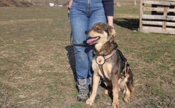 Pilou wartet schon auf dich!