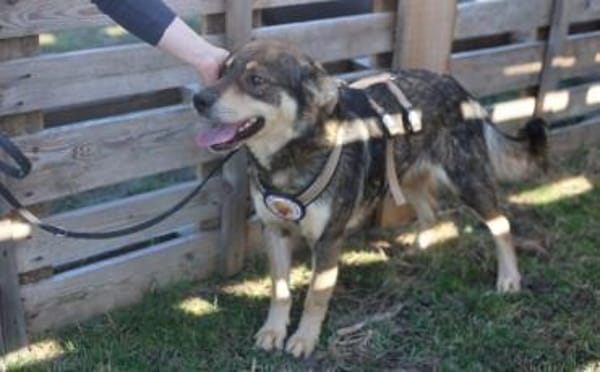 Pilou wartet schon auf dich!