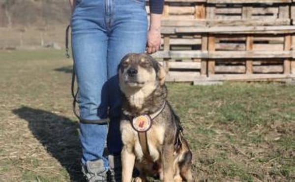 Pilou wartet schon auf dich!