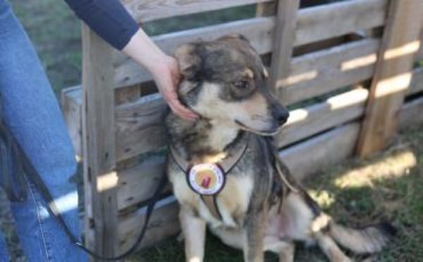 Pilou wartet schon auf dich!