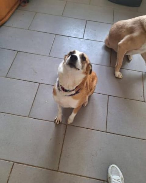 DARCY ist ein liebevolles Mädchen ♥