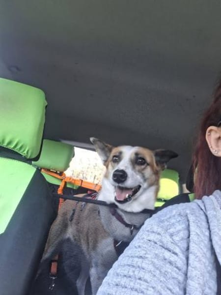 DARCY ist ein liebevolles Mädchen ♥