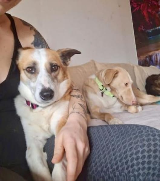 DARCY ist ein liebevolles Mädchen ♥