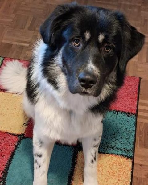 🆘 Dringend erfahrener Platz gesucht