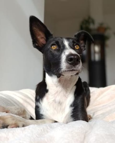 Aktive Berta wartet in 52385 Nideggen