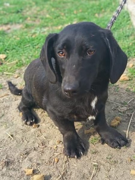 Zalan möchte so gerne eine Familie