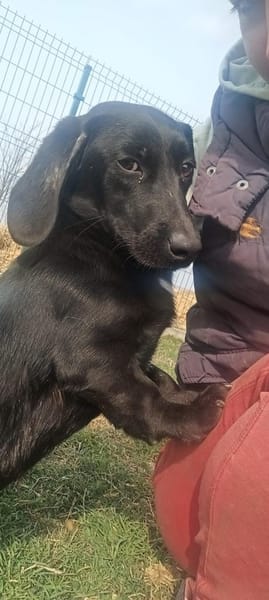 Zalan möchte so gerne eine Familie