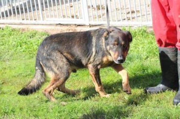 Cami - kinderlieb u. aufgeweckt