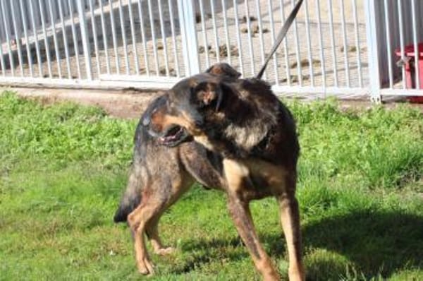 Cami - kinderlieb u. aufgeweckt