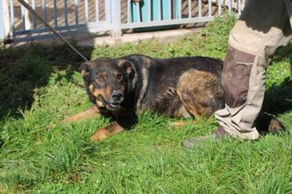 Cami - kinderlieb u. aufgeweckt