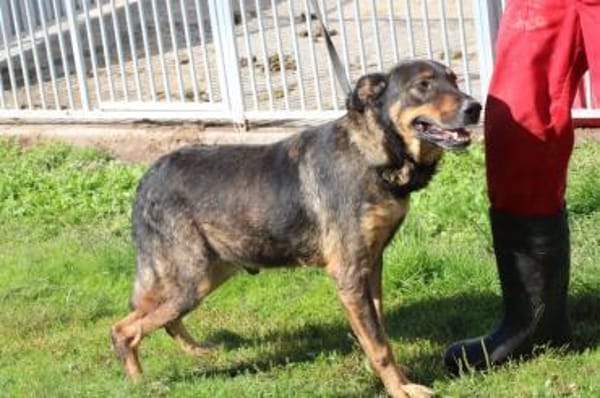 Cami - kinderlieb u. aufgeweckt