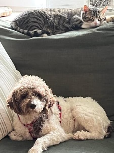 Calla möchte endlich ankommen