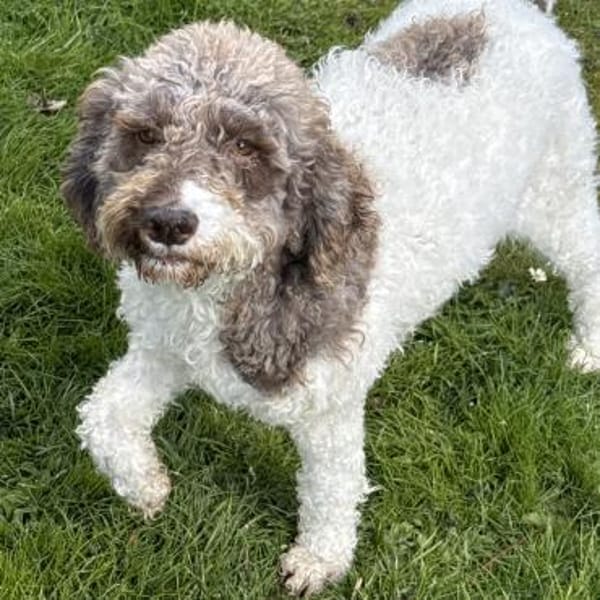 Calla möchte endlich ankommen