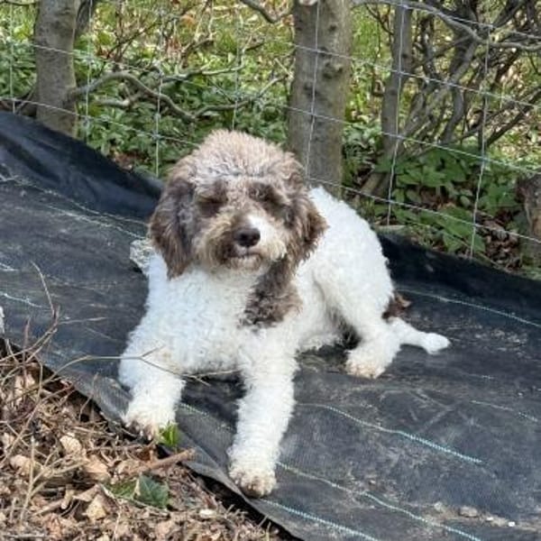 Calla möchte endlich ankommen