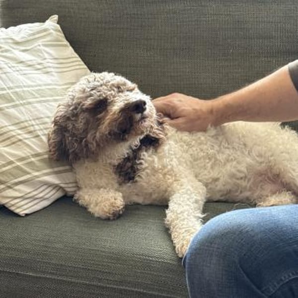 Calla möchte endlich ankommen