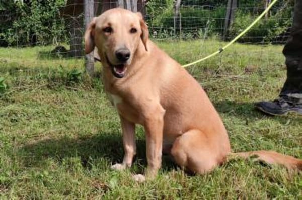 Charlie- möchte noch Abenteuer erleben