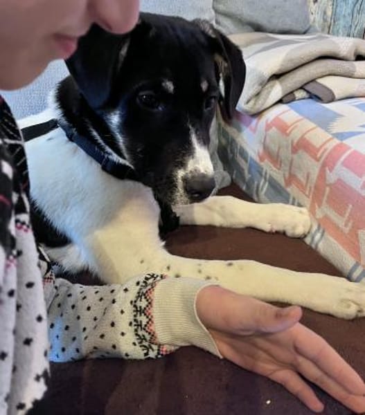 Kleine Prinzessin sucht Königreich