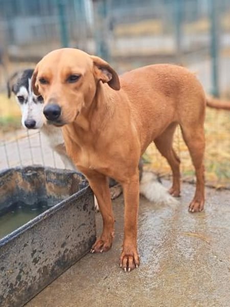 Szamira wartet schon 1 Jahr😒