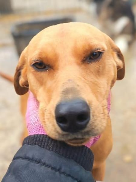 Szamira wartet schon 1 Jahr😒