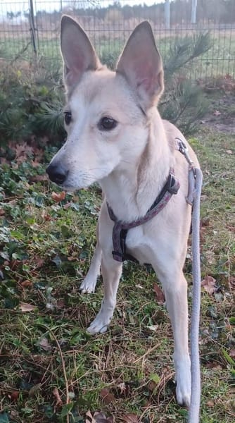 Lilly 💛 sucht Herzensmenschen