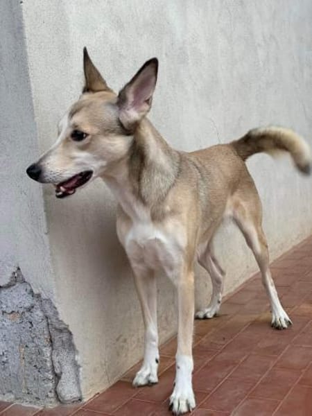 Lilly 💛 sucht Herzensmenschen