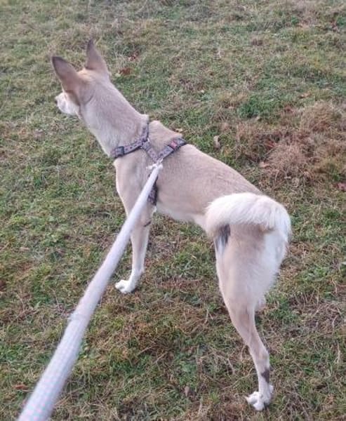 Lilly 💛 sucht Herzensmenschen