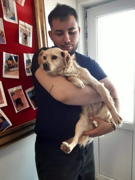 🐾❤ SUSI, 1-2 Jahre, ca. 30cm