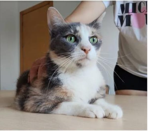 Trinity- bildhübsch und selbstbewusst