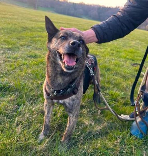 Cuba sucht seine Menschen