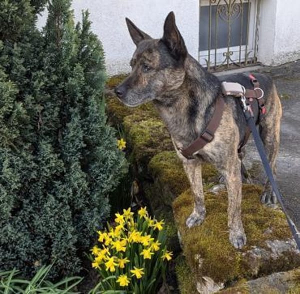 Cuba sucht seine Menschen