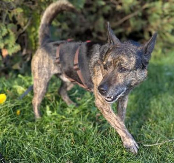 Cuba sucht seine Menschen