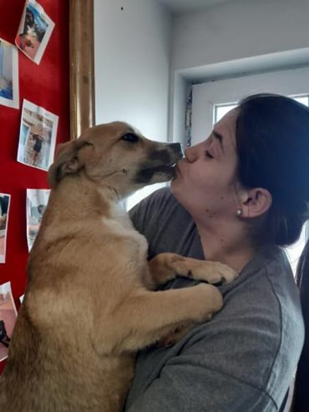 LIONA 🐾❤, ca.4 Mon. liebt alle & jeden