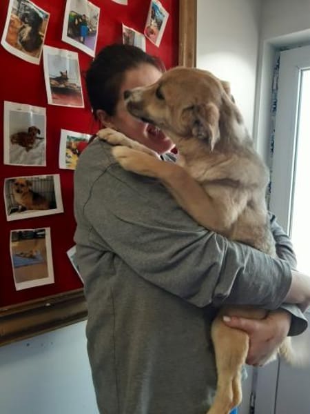 LIONA 🐾❤, ca.4 Mon. liebt alle & jeden