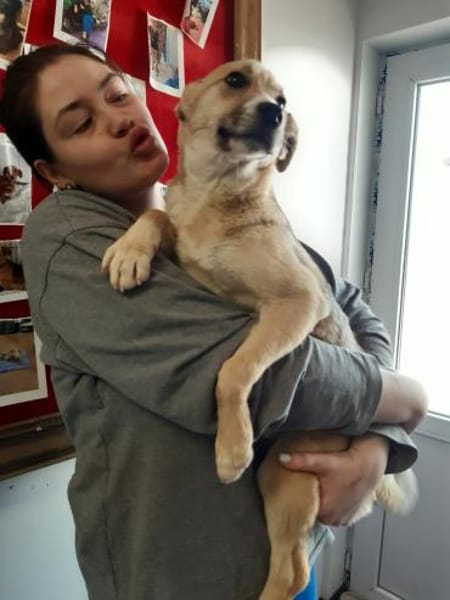 LIONA 🐾❤, ca.4 Mon. liebt alle & jeden