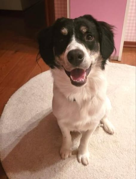 Hermes - Wirbelwind sucht Landeplatz