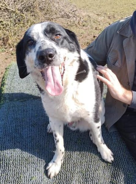 REZ 💙💙💙 ruhig und ausgeglichen