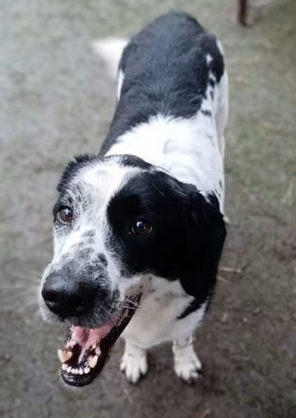 REZ 💙💙💙 ruhig und ausgeglichen