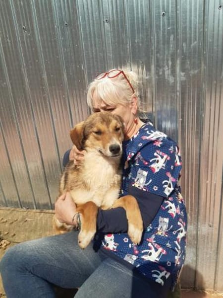 🐾❤ JULIA PASARICA, ca.45/48cm