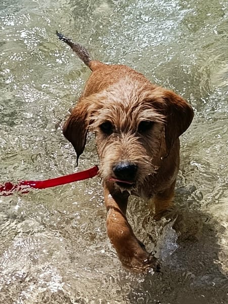 Youpi, bébé joyeux