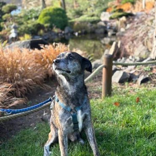 Vermittlungshilfe für JACK