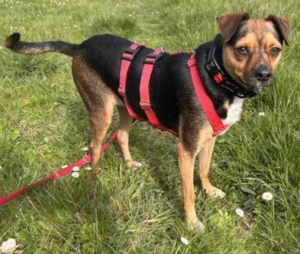 Wunderbare CANELA ❤