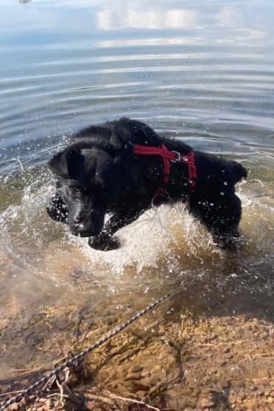 bezaubernde ASYA💖wartet in 36179 Bebra