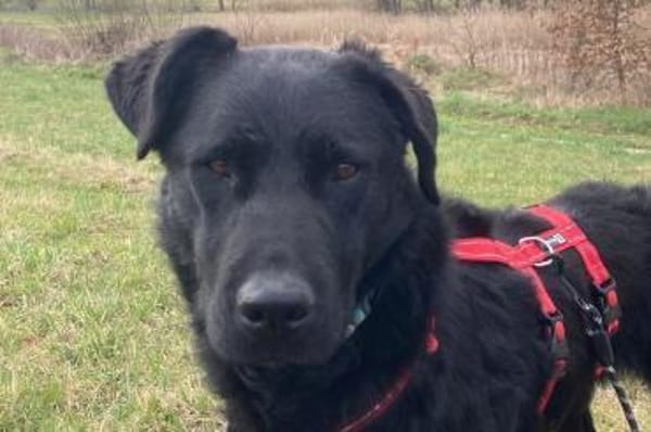 bezaubernde ASYA💖wartet in 36179 Bebra