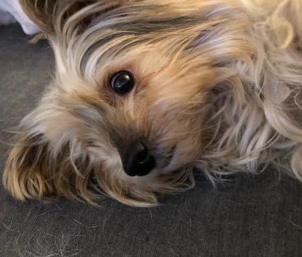 CHARLIE will geliebt werden