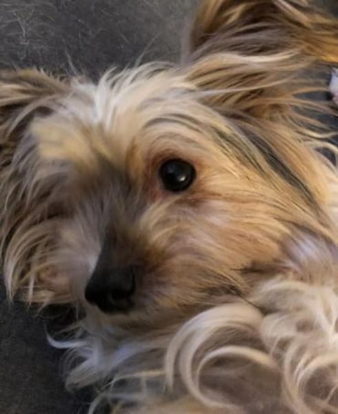 CHARLIE will geliebt werden