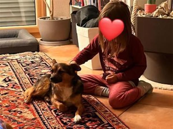 Stella - wartet in 92342 Freystadt