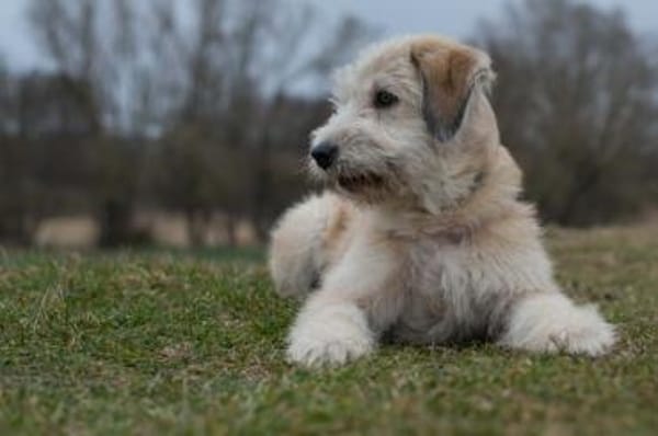 MASCHA ♥* aufgeweckt + fröhlich