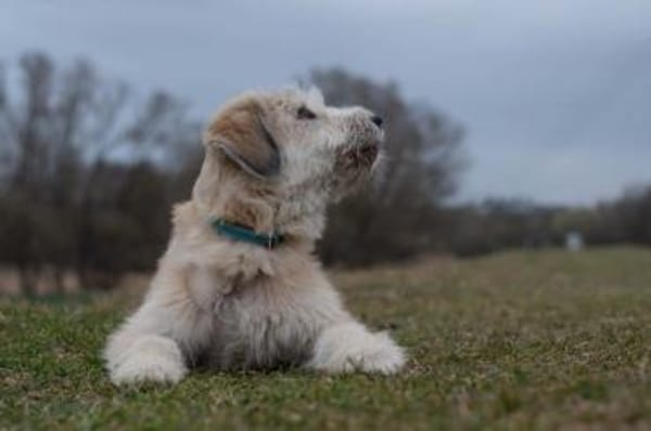 MASCHA ♥* aufgeweckt + fröhlich